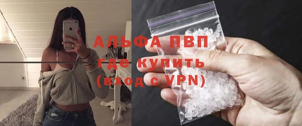 гашик Арсеньев