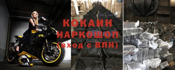 гашик Арсеньев