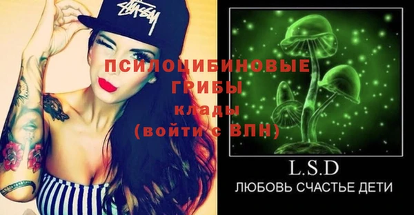 амф Липки