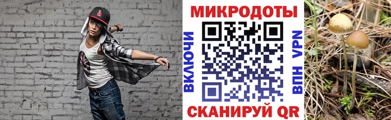 MEGA сайт  Рошаль  Галлюциногенные грибы Psilocybe 