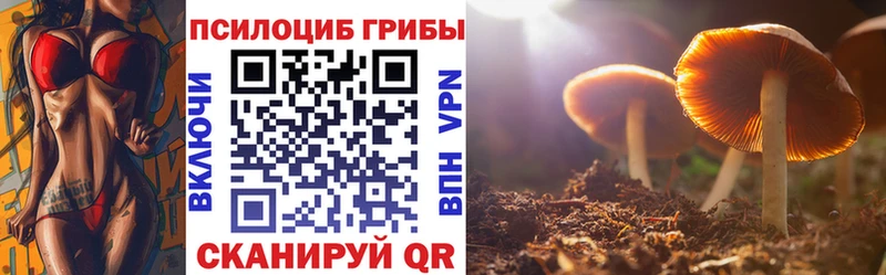 Псилоцибиновые грибы ЛСД Рошаль