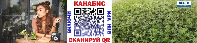 Шишки марихуана конопля Рошаль